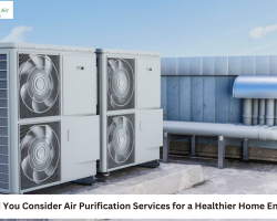 air purification services