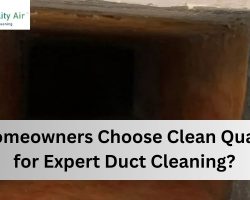 expert duct cleaning