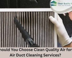 get_attachment_url (16)